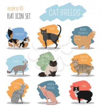 Cat breeds icon set flat style. Vector illustration