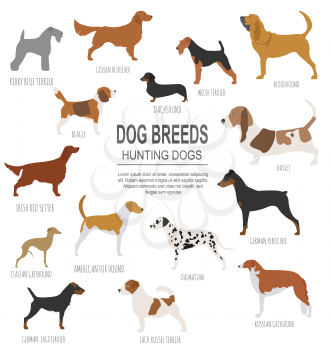 Dog breeds. Hunting dog set icon. Flat style. Vector illustration