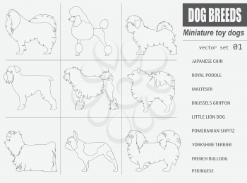Dog breeds. Miniature toy dog set icon. Flat style. Vector illustration