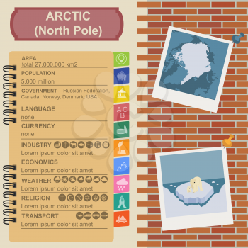 Arctic (North Pole) infographics, statistical data, sights. Vector illustration