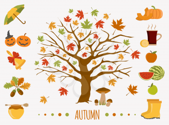 Autumn icon set. Halloween and Thanksgiving day. Flat design. Vector illustration