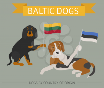 Dogs by country of origin. Baltic dog breeds. Infographic template. Vector illustration