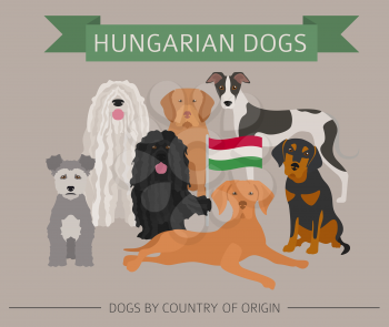 Dogs by country of origin. Hungarian dog breeds. Infographic template. Vector illustration