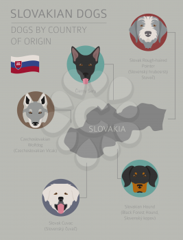 Dogs by country of origin. Slovakian dog breeds. Infographic template. Vector illustration