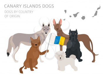 Dogs by country of origin. Spain. Canary islands dog breeds. Infographic template. Vector illustration