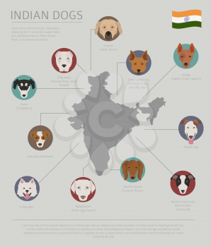 Dogs by country of origin. Indian dog breeds. Infographic template. Vector illustration