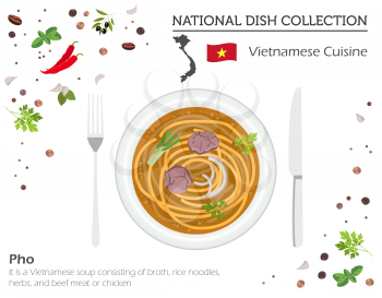 Vietnamese Cuisine. Asian national dish collection. Pho soup isolated on white, infograpic. Vector illustration
