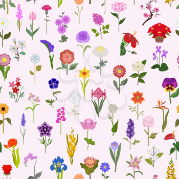 Your garden guide. Top 50 most popular flowers seamless pattern. Vector illustration
