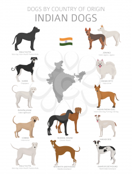 Dogs by country of origin. Indian dog breeds. Shepherds, hunting, herding, toy, working and service dogs  set.  Vector illustration