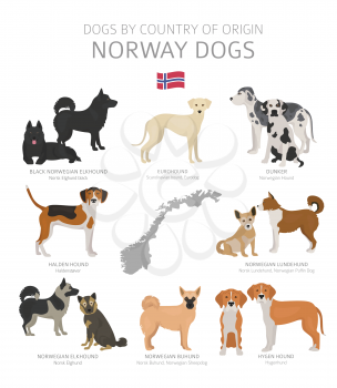 Dogs by country of origin. Norway dog breeds. Shepherds, hunting, herding, toy, working and service dogs  set.  Vector illustration