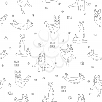 Yoga dogs poses and exercises. French bulldog linear seamless pattern. Vector illustration