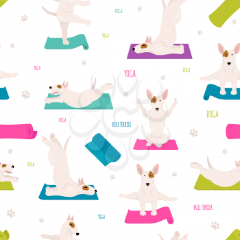 Yoga dogs poses and exercises. Bull terrier seamless pattern. Vector illustration
