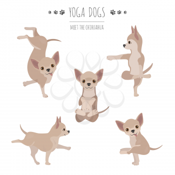 Yoga dogs poses and exercises. Chihuahua clipart. Vector illustration