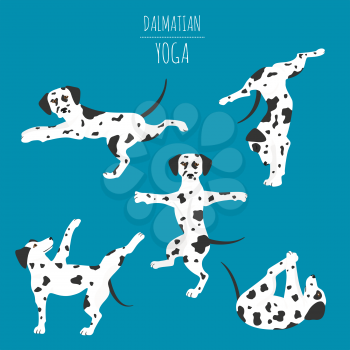 Yoga dogs poses and exercises. Dalmatian clipart. Vector illustration