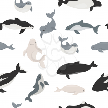 Marine mammals collection. Different porpoises set. Cartoon flat style seamless pattern. Vector illustration