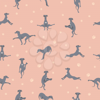 Yoga dogs poses and exercises seamless pattern design. Italian greyhound  clipart. Vector illustration