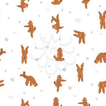 Yoga dogs poses and exercises seamless pattern design. Poodle clipart. Vector illustration