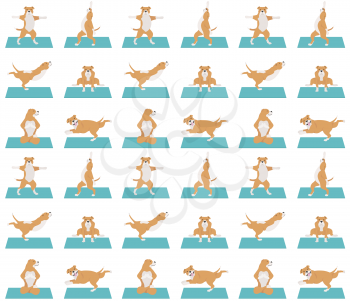 Yoga dogs poses and exercises seamless pattern design. Staffordshire bull terrier clipart. Vector illustration