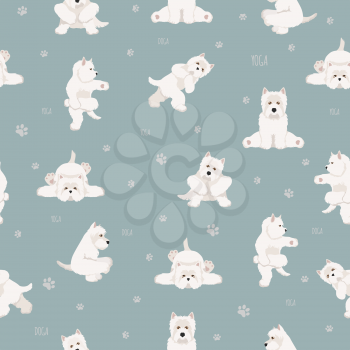 Yoga dogs poses and exercises seamless pattern design. West Highland White Terrier clipart. Vector illustration
