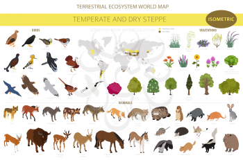 Temperate and dry steppe biome, natural region isometric infographic. Prarie, steppe, grassland, pampas. Terrestrial ecosystem world map. Animals, birds and vegetations ecosystem design set. Vector illustration