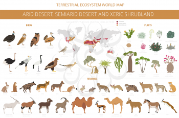Desert biome, xeric shrubland natural region infographic. Terrestrial ecosystem world map. Animals, birds and vegetations design set. Vector illustration