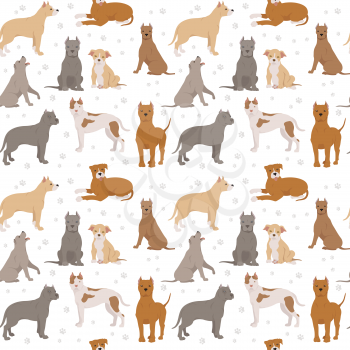 American staffordshire terrier dogs set. Color varieties, different poses. Seamless pattern. Vector illustration