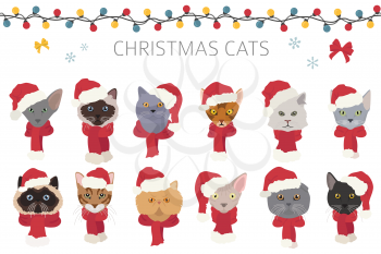 Cat portraits in Santa hats and scarves. Christmas holiday design. Vector illustration