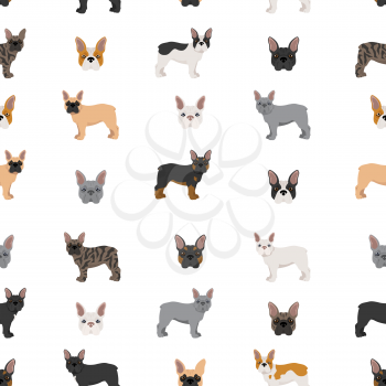 French bulldog seamless pattern.  Vector illustration