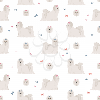 Maltese dogs in different poses seamless pattern. Vector illustration