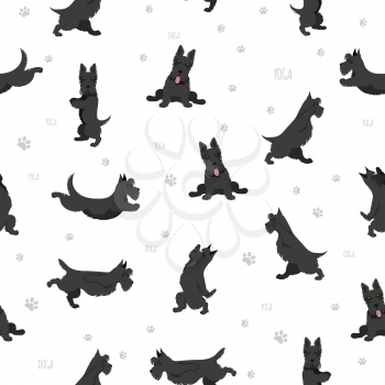 Yoga dogs poses and exercises. Scottish terrier yoga seamless pattern. Vector illustration
