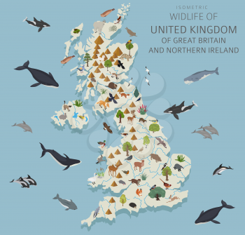 Isometric 3d design of United Kingdom wildlife. Animals, birds and plants constructor elements isolated on white set. Build your own geography infographics collection. Vector illustration
