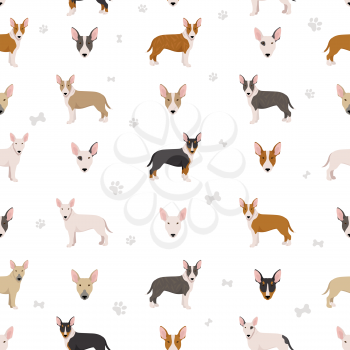 Bull terrier seamless pattern. Different poses, coat colors set.  Vector illustration