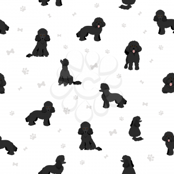 Toy poodle seamless pattern. Different poses, coat colors set.  Vector illustration
