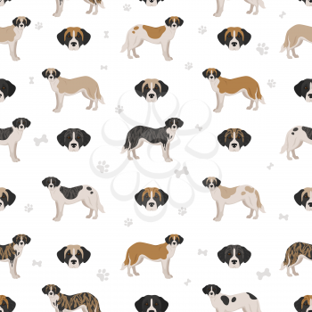 Alentejo mastiff all colours seamless pattern. Different coat colors set.  Vector illustration