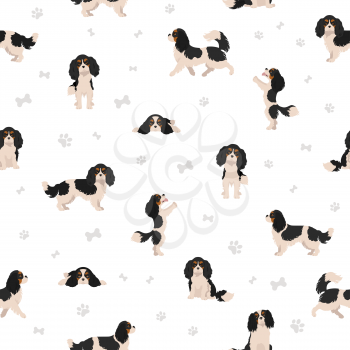 Cavalier King Charles spaniel seamless pattern.  Different poses, coat colors set.  Vector illustration