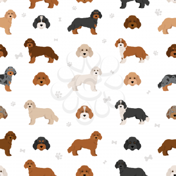 Cockapoo mix breed seamless pattern. Different poses, coat colors set.  Vector illustration