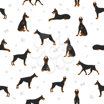 Doberman pinscher dogs seamless pattern. Different poses, coat colors set.  Vector illustration