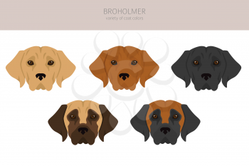 Broholmer clipart. Different coat colors and poses set.  Vector illustration