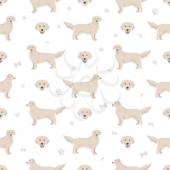 Golden retriever dogs in different poses and coat colors seamless pattern. Vector illustration