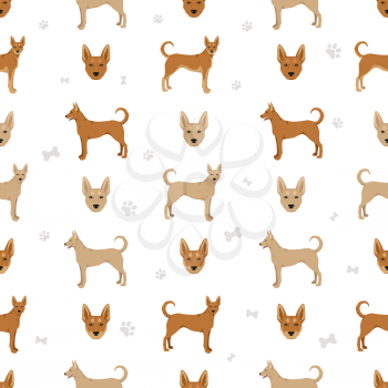 Carolina dog seamless pattern. Different poses, coat colors set.  Vector illustration
