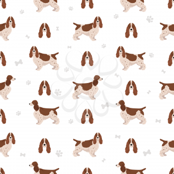 English cocker spaniel seamless pattern. Different poses, coat colors set.  Vector illustration