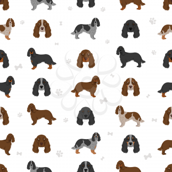 Field spaniel seamless pattern. Different poses, coat colors set.  Vector illustration