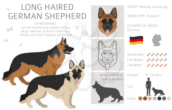 Long haired german shepherd dog  in different coat colors clipart. Vector illustration