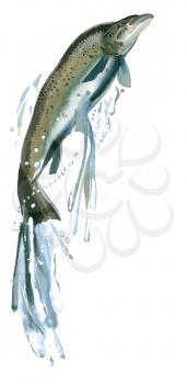 Royalty Free Clipart Image of a Fish 
