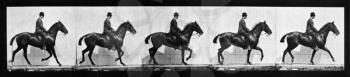 Royalty Free Photo of a Horse and Rider Border