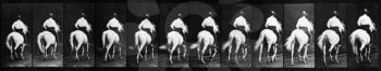 Royalty Free Photo of a Horse and Rider from the Back in a Repeating Pattern