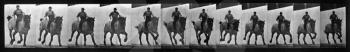 Royalty Free Photo of a Horse and Rider Repeating Pattern