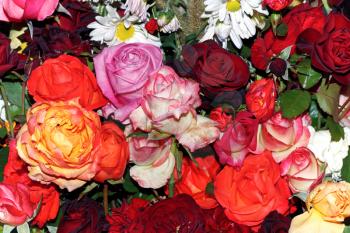 Background of a big bouquet of different roses