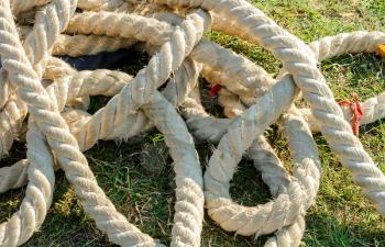 A shabby thick rope lies on the grass