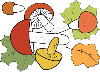 Illustration of mushrooms with autumn leaves on a white background